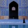 The Cry of the Dove | ISBN 9780802170408 | Kalimat Store