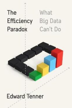 Efficiency Paradox | ISBN 9781400041398 | Kalimat Store