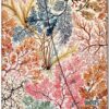 Anemone (William Kilburn) Midi 12-month Horizontal Hardback | ISBN 9781408757697 | Kalimat Store