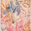 Anemone (William Kilburn) Midi 12-month Verso Hardback Daypl | ISBN 9781408757895 | Kalimat Store