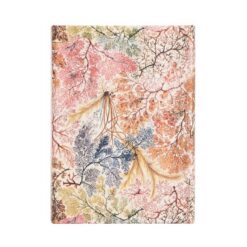 2024 Anemone | ISBN 9781439704684 | Kalimat Store