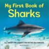My First Book Of: Sharks | ISBN 9781685394530 | Kalimat Store