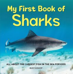 My First Book Of: Sharks | ISBN 9781685394530 | Kalimat Store