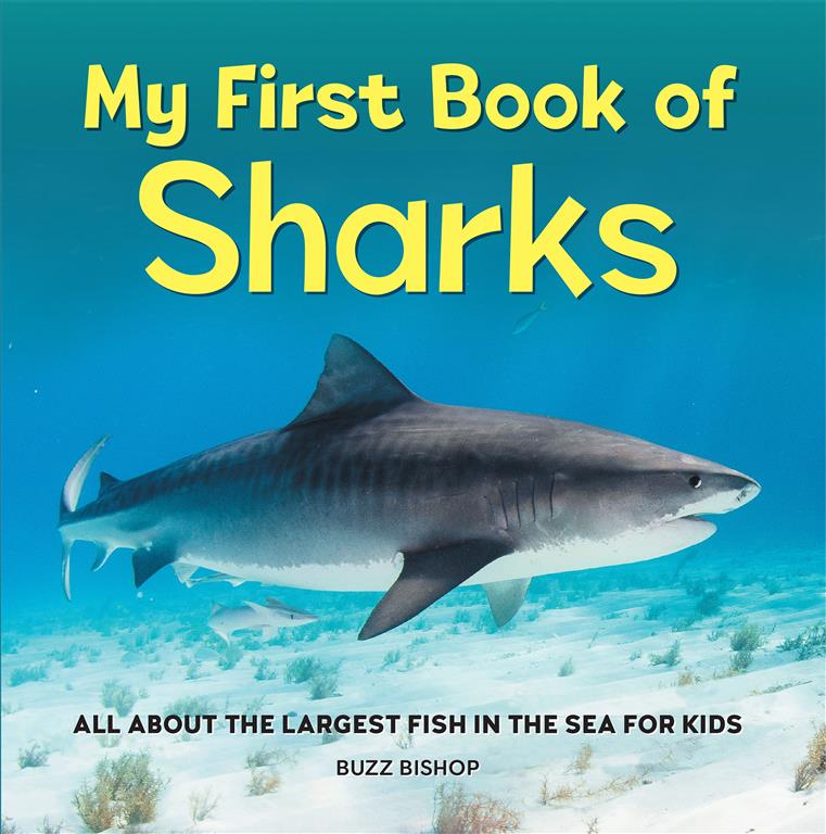 My First Book Of: Sharks | ISBN 9781685394530 | Kalimat Store