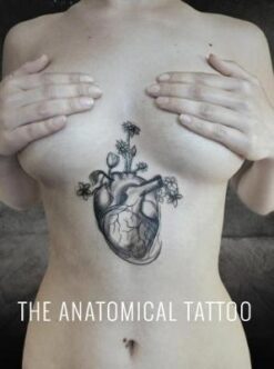 Anatomical Tattoo | ISBN 9781905367825 | Kalimat Store