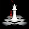 Breaking Dawn | ISBN 9781907410352 | Kalimat Store
