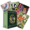 Kate Forsyth'S Hedgewitch Oracle | ISBN 9781923208131 | Kalimat Store