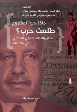 ماذا-جرى-لمشروع-طلعت-حرب