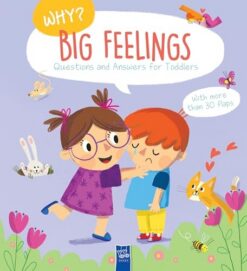 Why? Questions and Answers for Toddlers: Big Feelings | ISBN 9789465055190 | Kalimat Store
