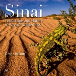Sinai | ISBN 9789774166617 | Kalimat Store