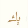 بك | ISBN 9789778241488 | Kalimat Store