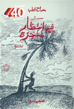 في انتظار معجزة | ISBN 9789778941494 | Kalimat Store
