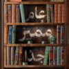 عام مميز جدا | ISBN 9789779924205 | Kalimat Store