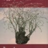 نجمة البحر (اولاد الغيتو 2) | ISBN 9789953896427 | Kalimat Store