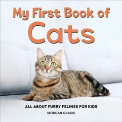 My First Book Of: Cats | ISBN 9798886508208 | Kalimat Store